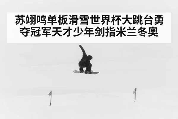 苏翊鸣单板滑雪世界杯大跳台勇夺冠军天才少年剑指米兰冬奥